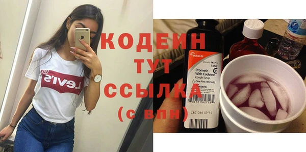 spice Ельня