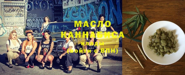 spice Ельня