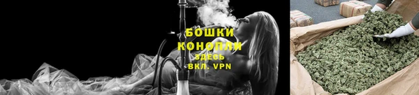 spice Ельня