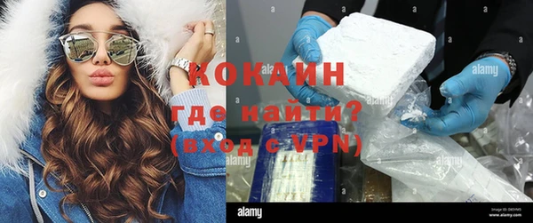 spice Ельня