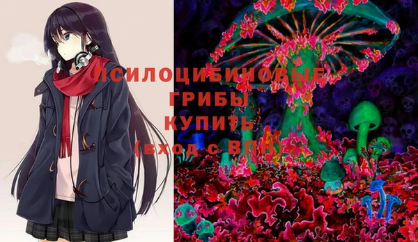 spice Ельня