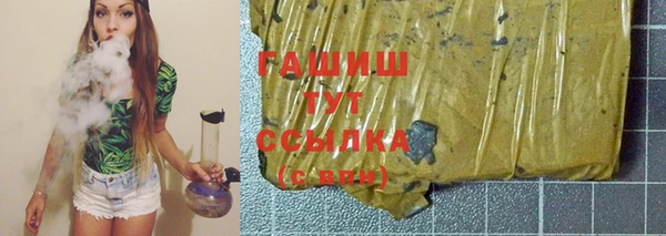 spice Ельня